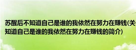 苏醒后不知道自己是谁的我依然在努力在赚钱(关于苏醒后不知道自己是谁的我依然在努力在赚钱的简介)