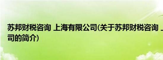 苏邦财税咨询 上海有限公司(关于苏邦财税咨询 上海有限公司的简介)