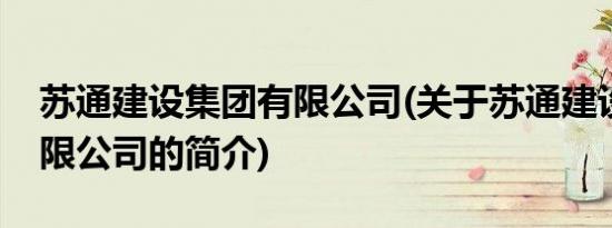 苏通建设集团有限公司(关于苏通建设集团有限公司的简介)