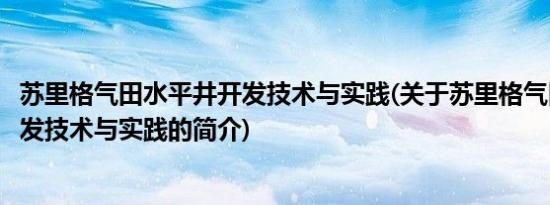 苏里格气田水平井开发技术与实践(关于苏里格气田水平井开发技术与实践的简介)