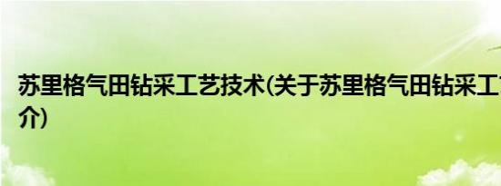 苏里格气田钻采工艺技术(关于苏里格气田钻采工艺技术的简介)