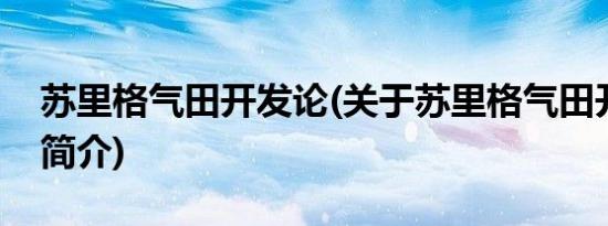 苏里格气田开发论(关于苏里格气田开发论的简介)