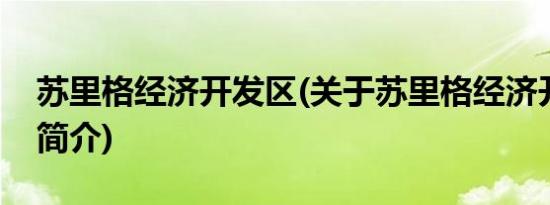 苏里格经济开发区(关于苏里格经济开发区的简介)