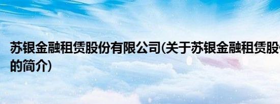 苏银金融租赁股份有限公司(关于苏银金融租赁股份有限公司的简介)