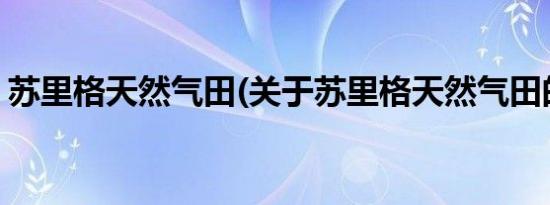 苏里格天然气田(关于苏里格天然气田的简介)