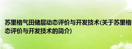 苏里格气田储层动态评价与开发技术(关于苏里格气田储层动态评价与开发技术的简介)