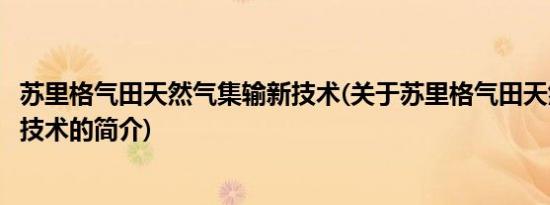 苏里格气田天然气集输新技术(关于苏里格气田天然气集输新技术的简介)