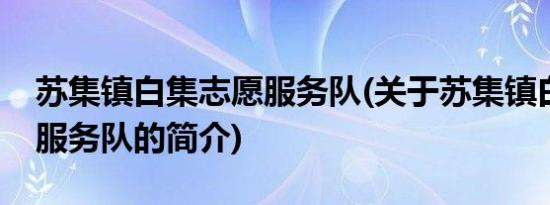 苏集镇白集志愿服务队(关于苏集镇白集志愿服务队的简介)