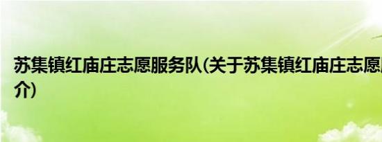 苏集镇红庙庄志愿服务队(关于苏集镇红庙庄志愿服务队的简介)