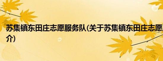 苏集镇东田庄志愿服务队(关于苏集镇东田庄志愿服务队的简介)