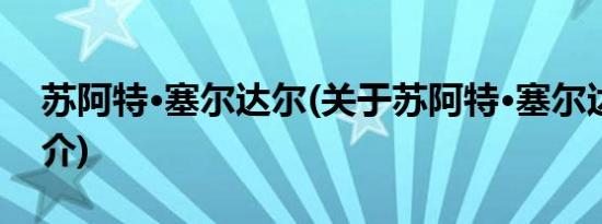 苏阿特·塞尔达尔(关于苏阿特·塞尔达尔的简介)