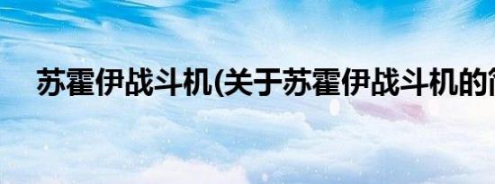 苏霍伊战斗机(关于苏霍伊战斗机的简介)