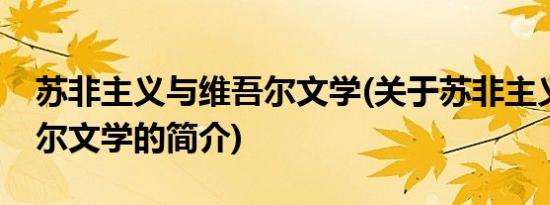 苏非主义与维吾尔文学(关于苏非主义与维吾尔文学的简介)