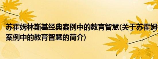 苏霍姆林斯基经典案例中的教育智慧(关于苏霍姆林斯基经典案例中的教育智慧的简介)