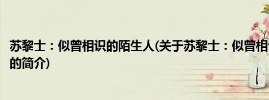 苏黎士：似曾相识的陌生人(关于苏黎士：似曾相识的陌生人的简介)