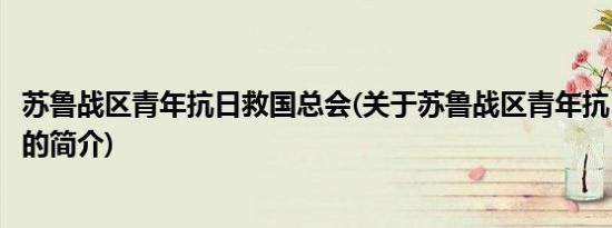 苏鲁战区青年抗日救国总会(关于苏鲁战区青年抗日救国总会的简介)