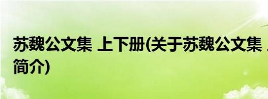 苏魏公文集 上下册(关于苏魏公文集 上下册的简介)