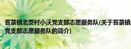 苔菉镇北茭村小沃党支部志愿服务队(关于苔菉镇北茭村小沃党支部志愿服务队的简介)