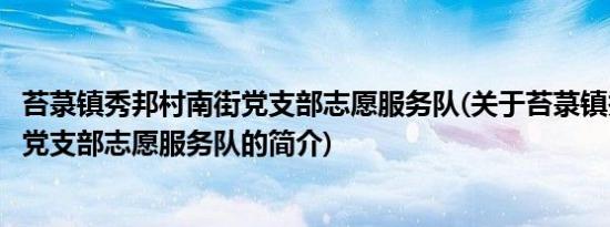 苔菉镇秀邦村南街党支部志愿服务队(关于苔菉镇秀邦村南街党支部志愿服务队的简介)