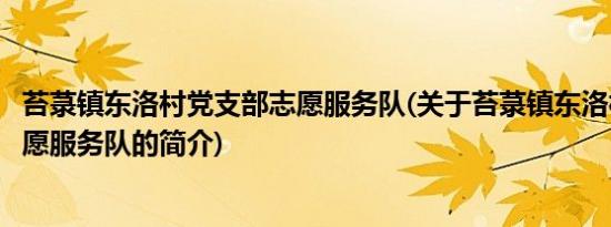 苔菉镇东洛村党支部志愿服务队(关于苔菉镇东洛村党支部志愿服务队的简介)