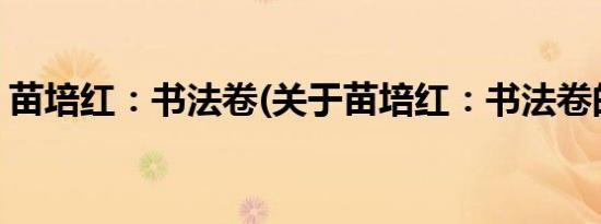 苗培红：书法卷(关于苗培红：书法卷的简介)