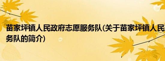 苗家坪镇人民政府志愿服务队(关于苗家坪镇人民政府志愿服务队的简介)