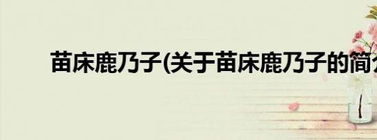 苗床鹿乃子(关于苗床鹿乃子的简介)