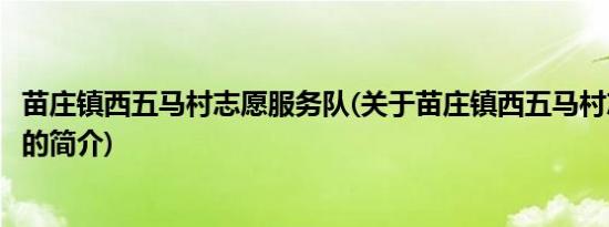 苗庄镇西五马村志愿服务队(关于苗庄镇西五马村志愿服务队的简介)