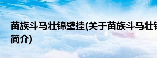 苗族斗马壮锦壁挂(关于苗族斗马壮锦壁挂的简介)