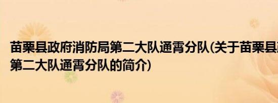 苗栗县政府消防局第二大队通霄分队(关于苗栗县政府消防局第二大队通霄分队的简介)