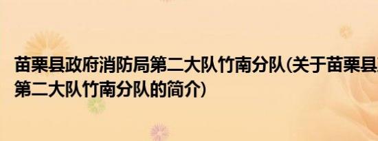 苗栗县政府消防局第二大队竹南分队(关于苗栗县政府消防局第二大队竹南分队的简介)