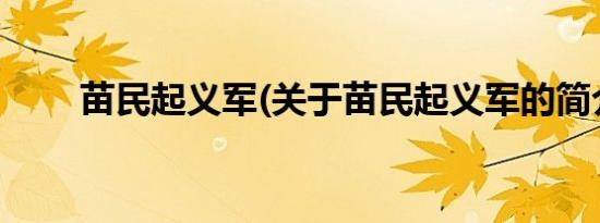 苗民起义军(关于苗民起义军的简介)