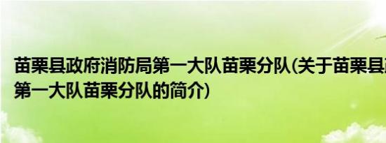 苗栗县政府消防局第一大队苗栗分队(关于苗栗县政府消防局第一大队苗栗分队的简介)