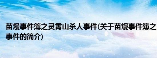 苗熳事件簿之灵霄山杀人事件(关于苗熳事件簿之灵霄山杀人事件的简介)