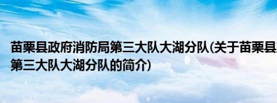 苗栗县政府消防局第三大队大湖分队(关于苗栗县政府消防局第三大队大湖分队的简介)