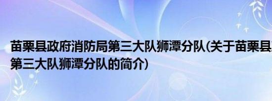 苗栗县政府消防局第三大队狮潭分队(关于苗栗县政府消防局第三大队狮潭分队的简介)