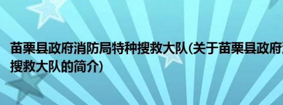 苗栗县政府消防局特种搜救大队(关于苗栗县政府消防局特种搜救大队的简介)