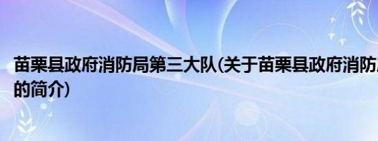 苗栗县政府消防局第三大队(关于苗栗县政府消防局第三大队的简介)