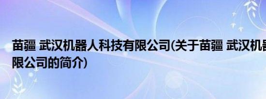 苗疆 武汉机器人科技有限公司(关于苗疆 武汉机器人科技有限公司的简介)