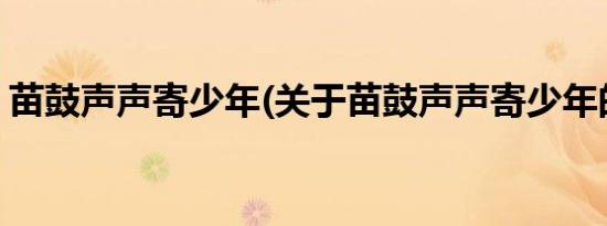 苗鼓声声寄少年(关于苗鼓声声寄少年的简介)