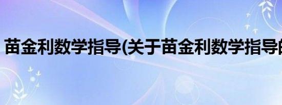 苗金利数学指导(关于苗金利数学指导的简介)