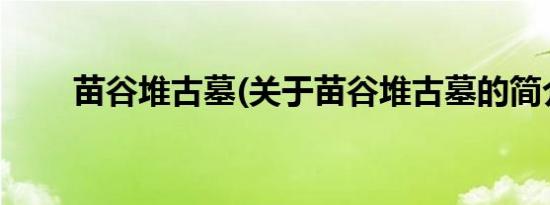 苗谷堆古墓(关于苗谷堆古墓的简介)