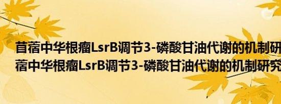 苜蓿中华根瘤LsrB调节3-磷酸甘油代谢的机制研究(关于苜蓿中华根瘤LsrB调节3-磷酸甘油代谢的机制研究的简介)