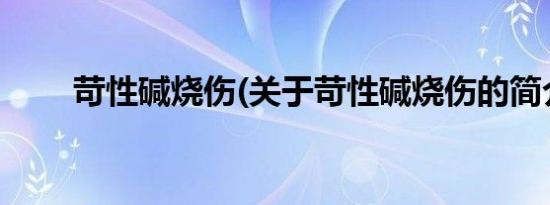 苛性碱烧伤(关于苛性碱烧伤的简介)