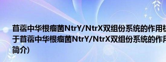 苜蓿中华根瘤菌NtrY/NtrX双组份系统的作用机制研究(关于苜蓿中华根瘤菌NtrY/NtrX双组份系统的作用机制研究的简介)