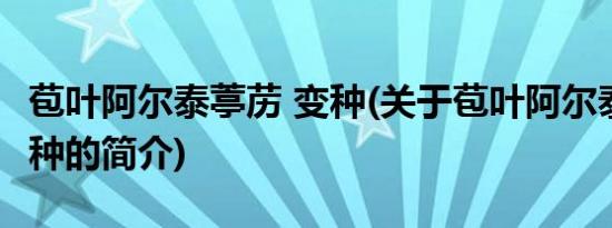 苞叶阿尔泰葶苈 变种(关于苞叶阿尔泰葶苈 变种的简介)