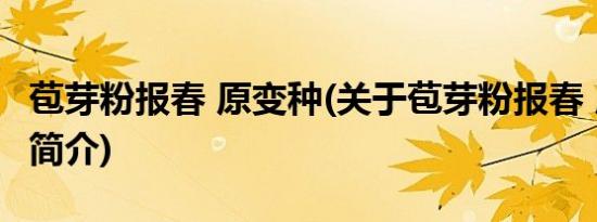 苞芽粉报春 原变种(关于苞芽粉报春 原变种的简介)