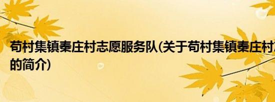 苟村集镇秦庄村志愿服务队(关于苟村集镇秦庄村志愿服务队的简介)