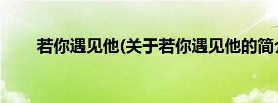 若你遇见他(关于若你遇见他的简介)