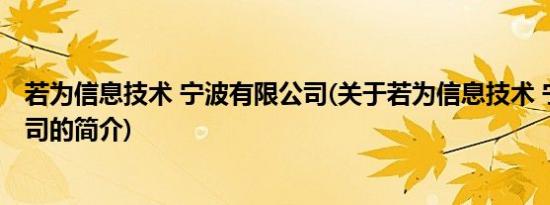 若为信息技术 宁波有限公司(关于若为信息技术 宁波有限公司的简介)